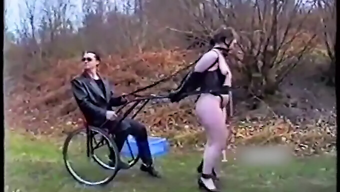 Οι Ponygirls Μαθαίνουν Τα Σχοινιά Του Bdsm