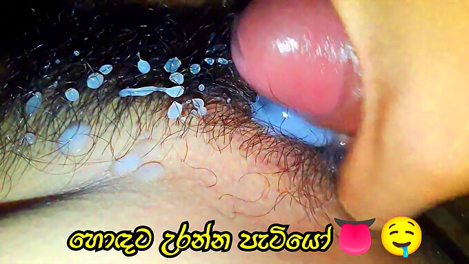 Payudara Besar Dan Memek Berbulu - Pengalaman Porno Sinhala Yang Menggoda